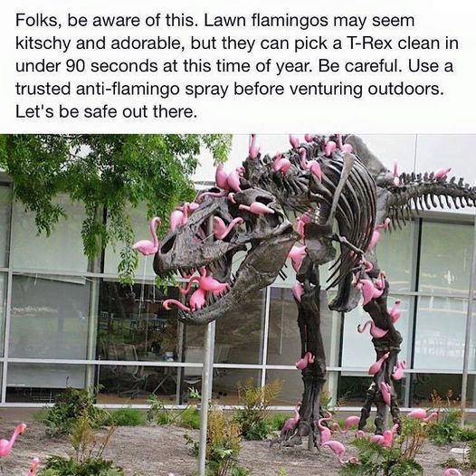Lawn Flamingos and T-Rex