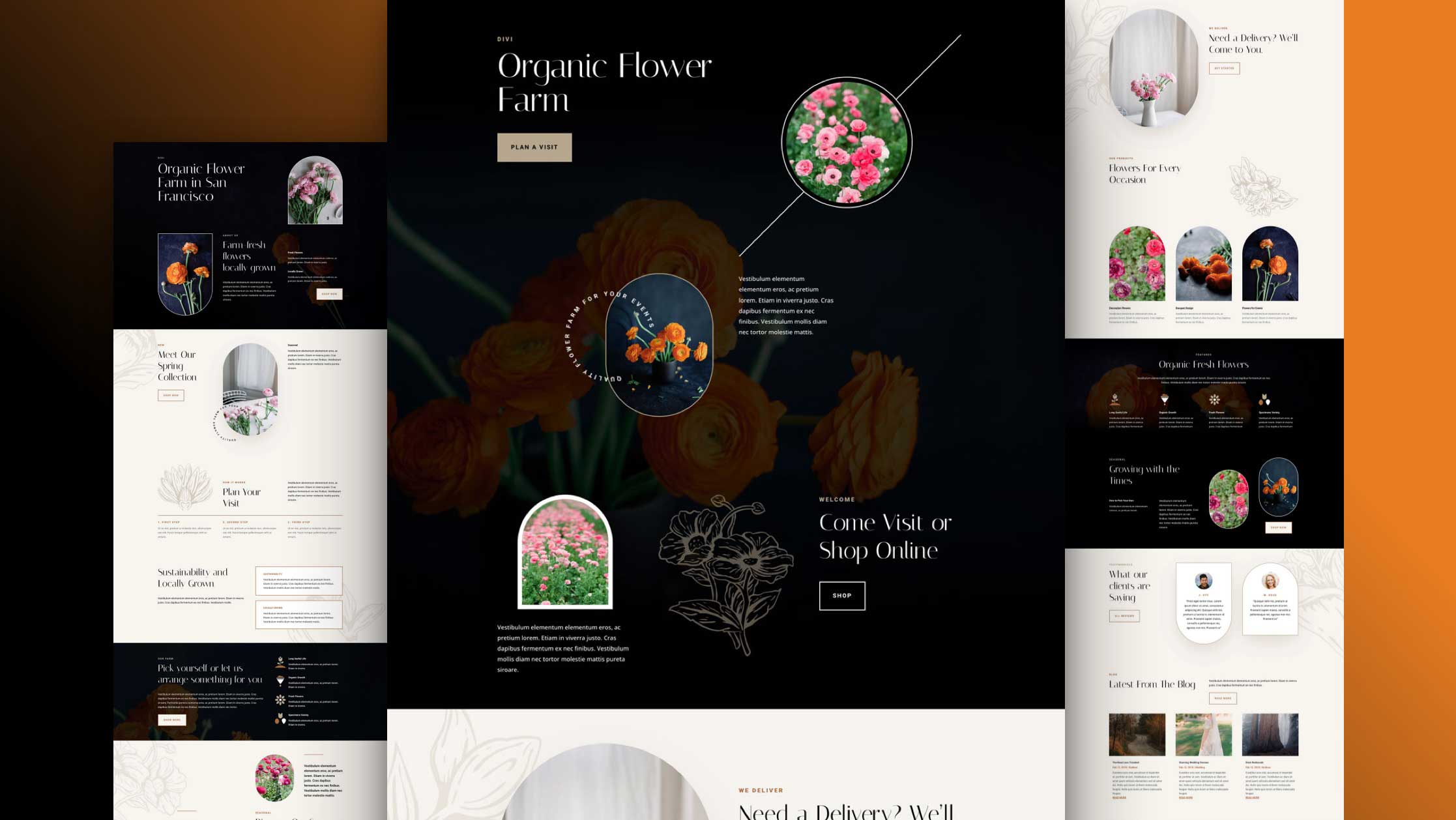 Get a FREE Flower Farm Layout Pack for Divi