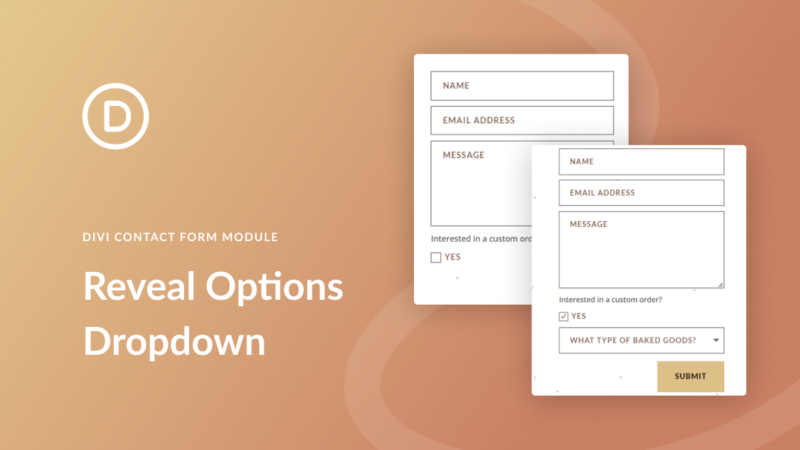 How to Reveal an Options Dropdown After Checking a Box in Your Divi Contact Form