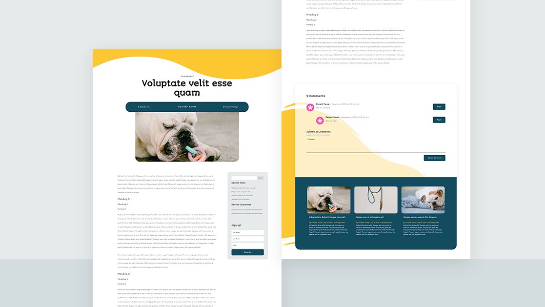 Download a FREE Blog Post Template for Divi’s Pet Supply Layout Pack