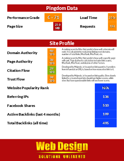 Website Analysis Unleashed Sample Report Page 1