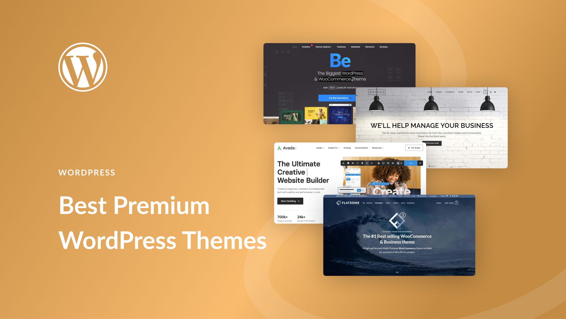 11 Best Premium WordPress Themes in 2023 (Reviewed & Compared)