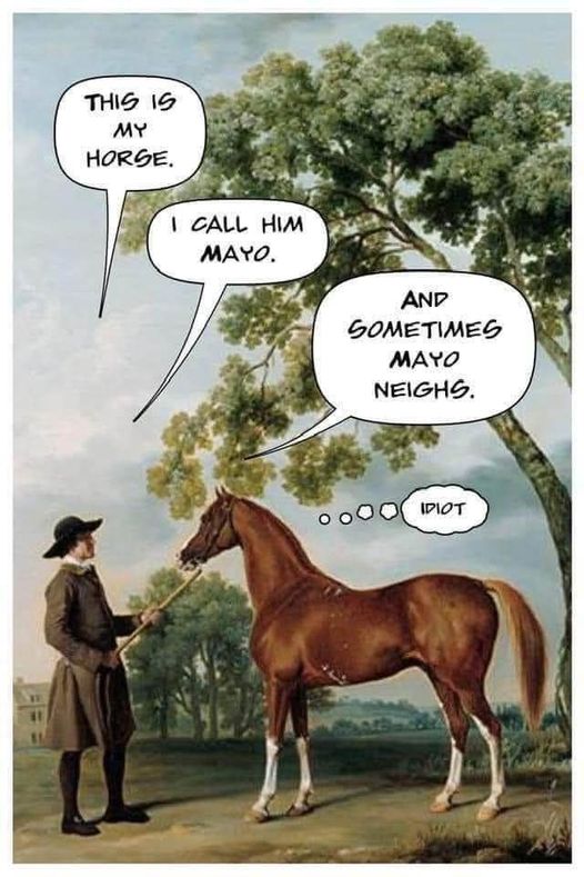 Horse Mayo Neighs