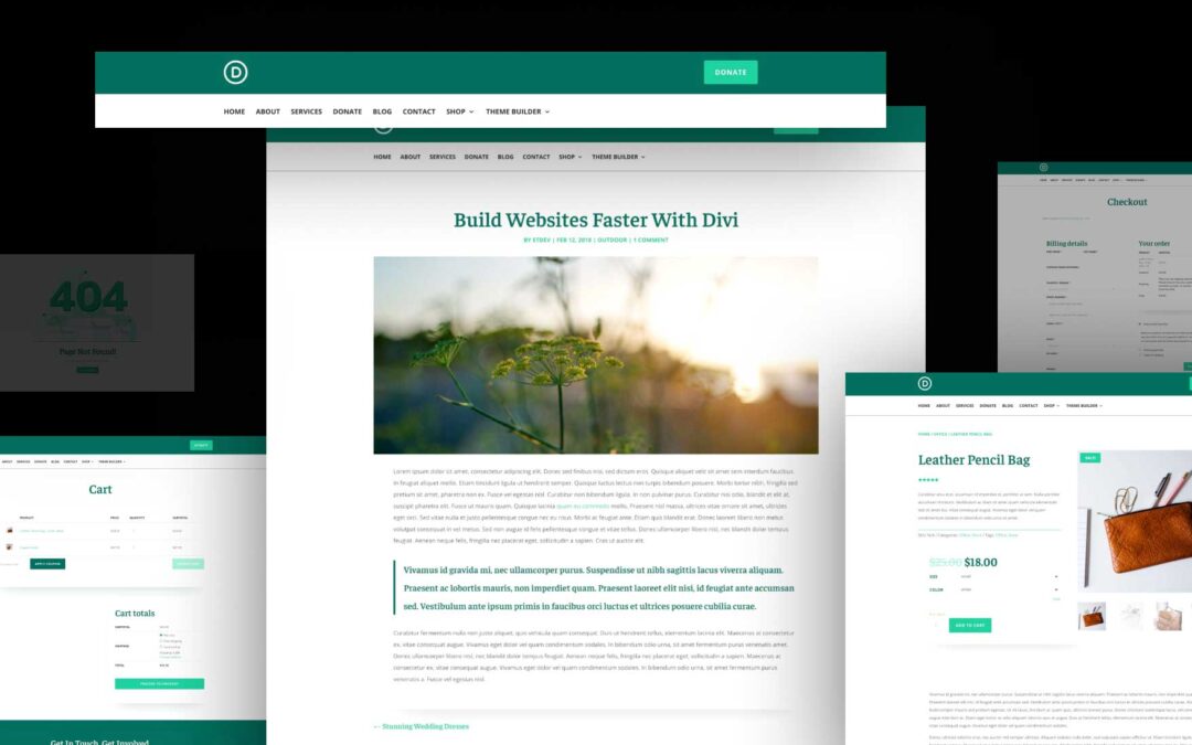 Download a Free Charity Theme Builder Pack for Divi