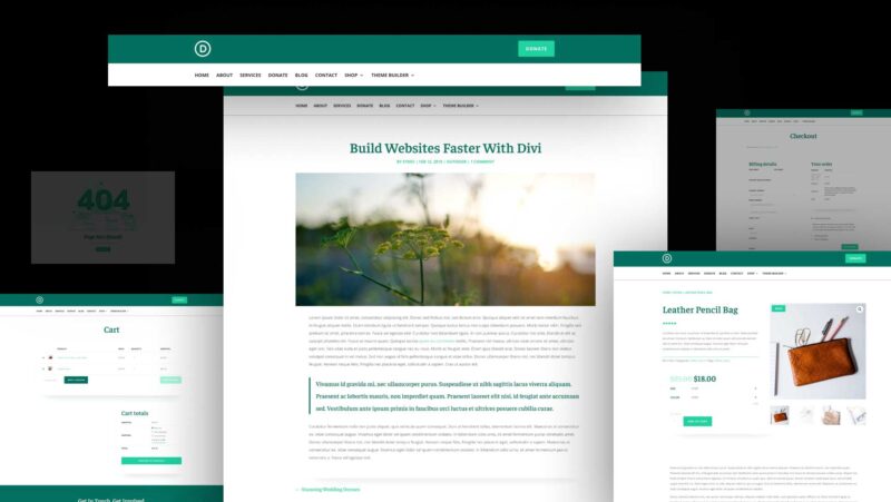 Download a Free Charity Theme Builder Pack for Divi