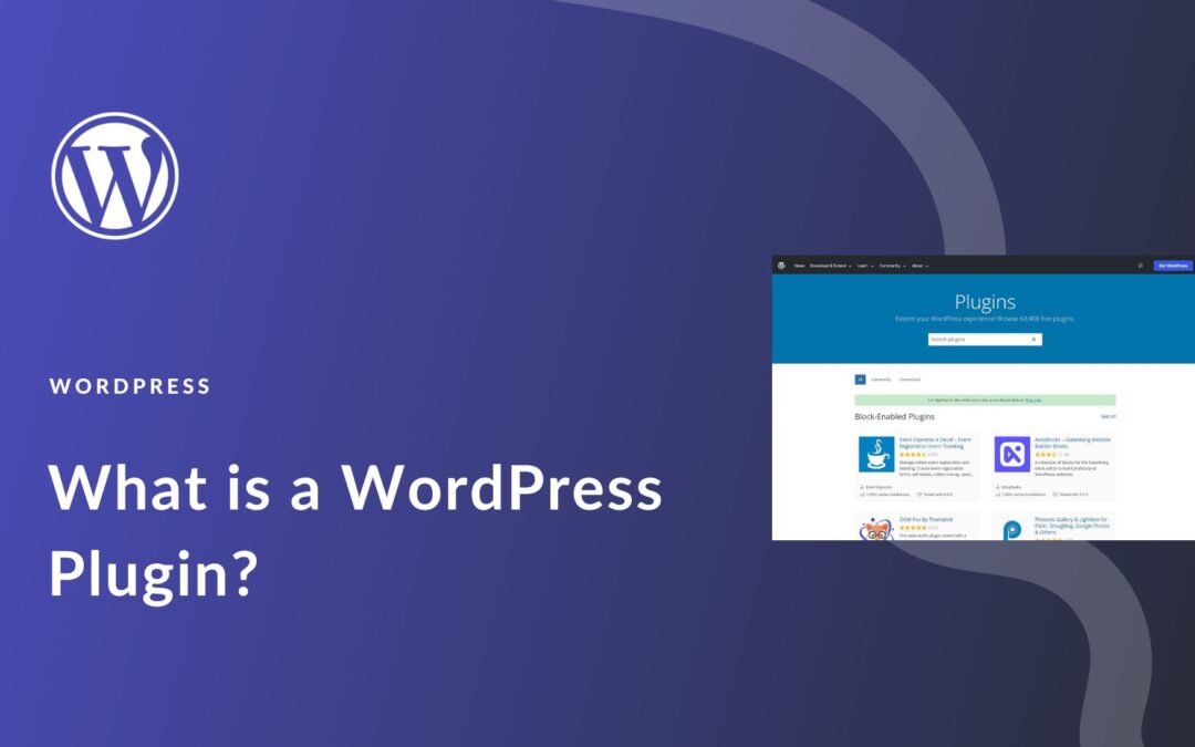 What is a WordPress Plugin? A Beginner’s Guide for 2024