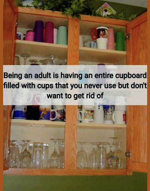 Cupboard of Unused Cups