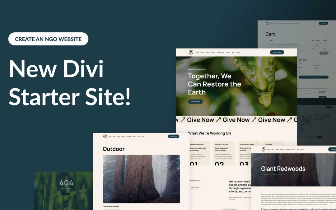 New NGO Starter Site for Divi (Quick Install)