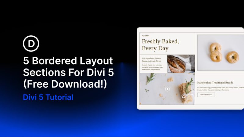5 Bordered Layout Sections For Divi 5 (Free Download!)