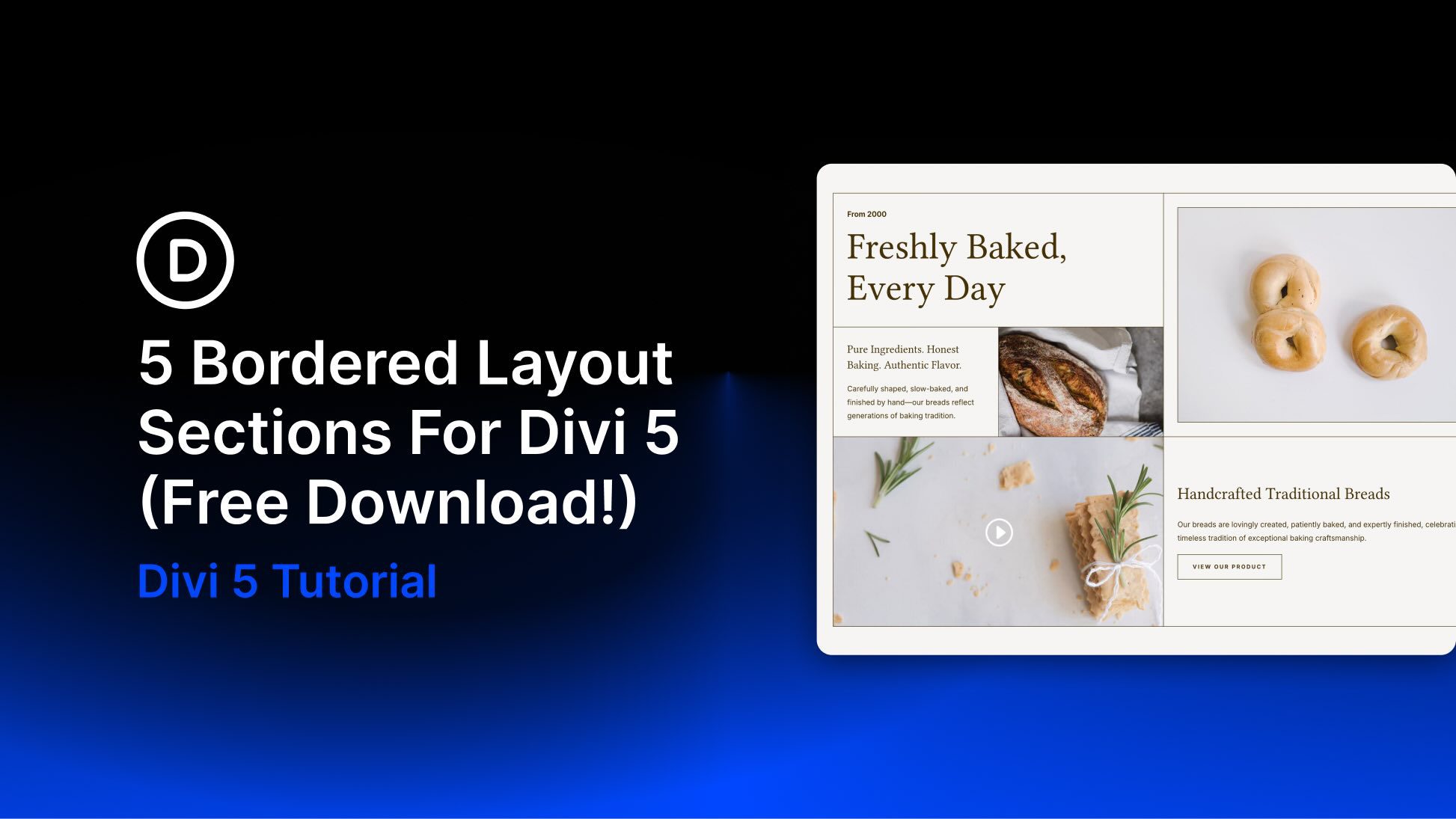 5 Bordered Layout Sections For Divi 5 (Free Download!) 5 Bordered Layout Sections For Divi 5 (Free Download!)